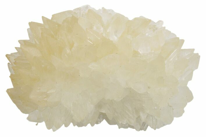 Sharp Dogtooth Calcite Crystal Cluster - Utah #360686
